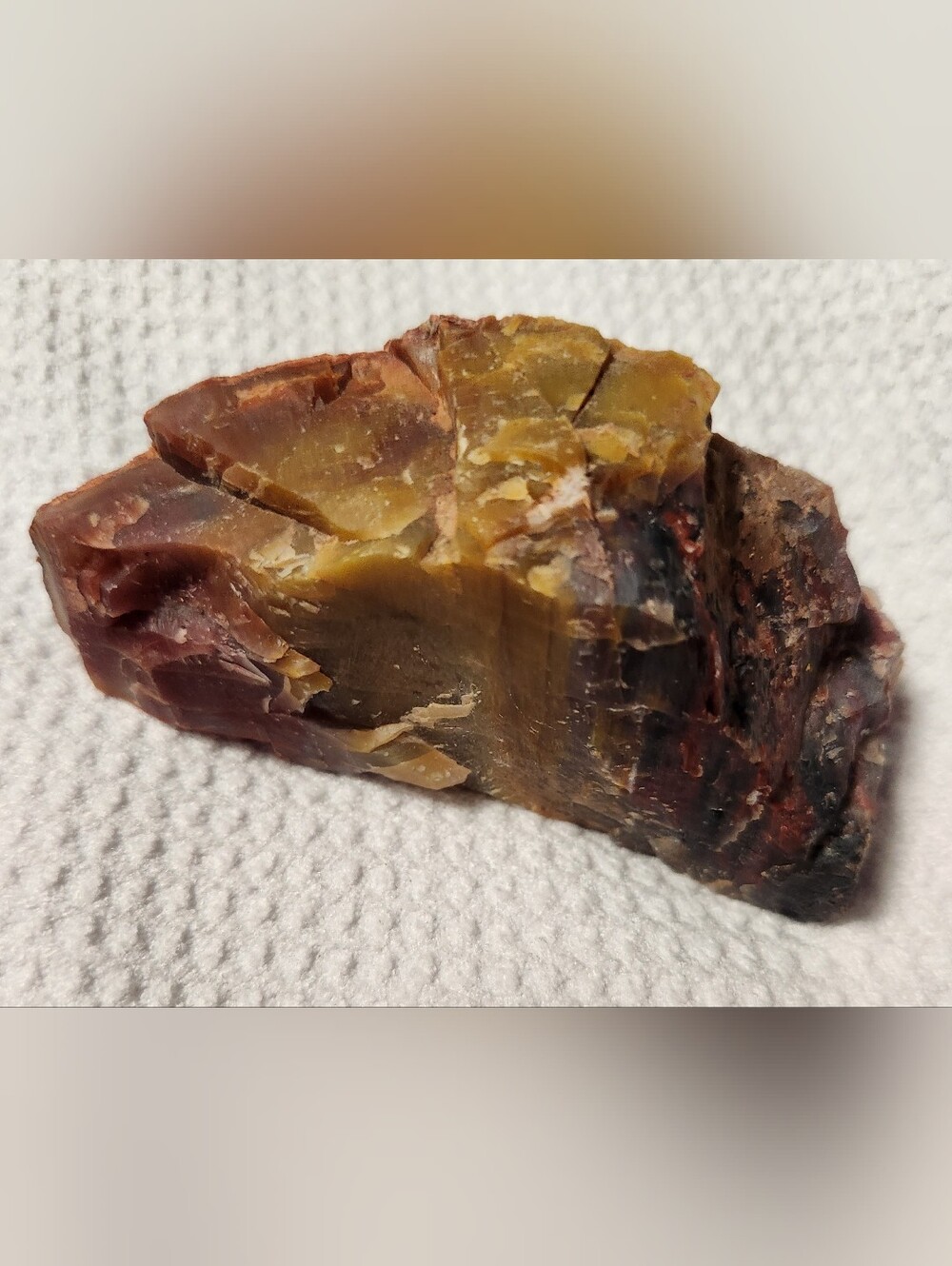 NATURAL RAINBOW PETRIFIED WOOD OF ARIZONA.  AS SHOWN IN PHOTOS.